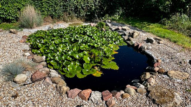 406 S Genesee Street, Morrison, IL 61270