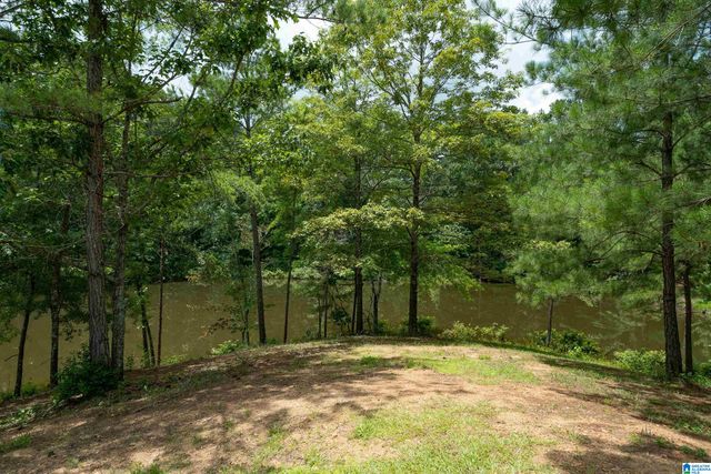 340 LAKE COTTAGE ROAD, Sterrett, AL 35147