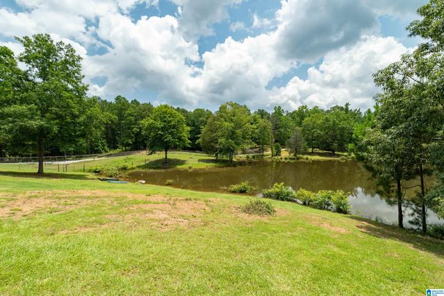 340 LAKE COTTAGE ROAD, Sterrett, AL 35147