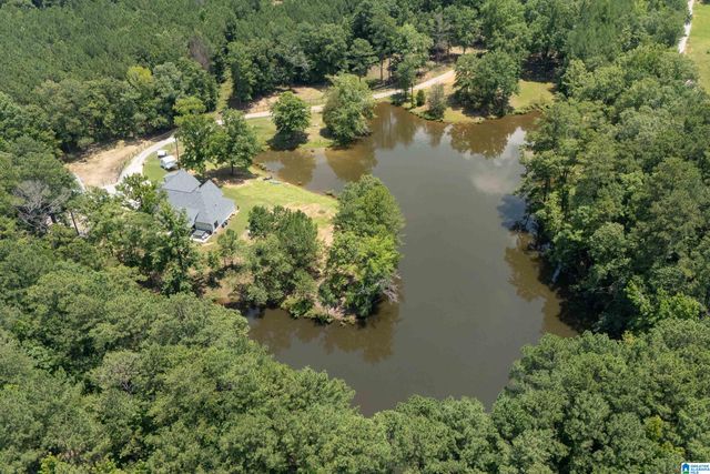 340 LAKE COTTAGE ROAD, Sterrett, AL 35147