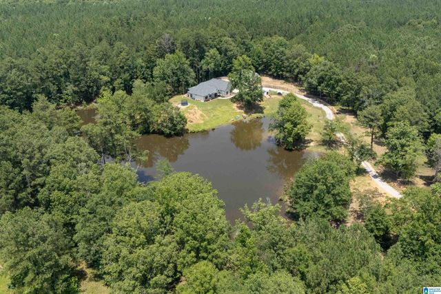340 LAKE COTTAGE ROAD, Sterrett, AL 35147