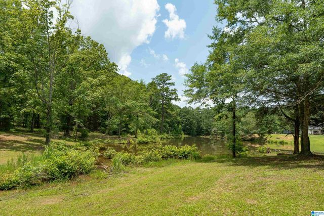340 LAKE COTTAGE ROAD, Sterrett, AL 35147