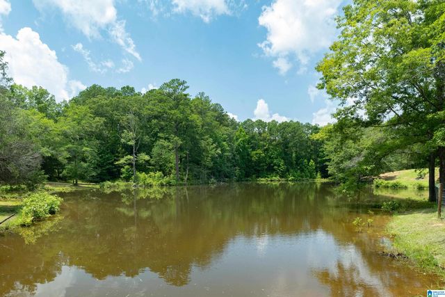 340 LAKE COTTAGE ROAD, Sterrett, AL 35147