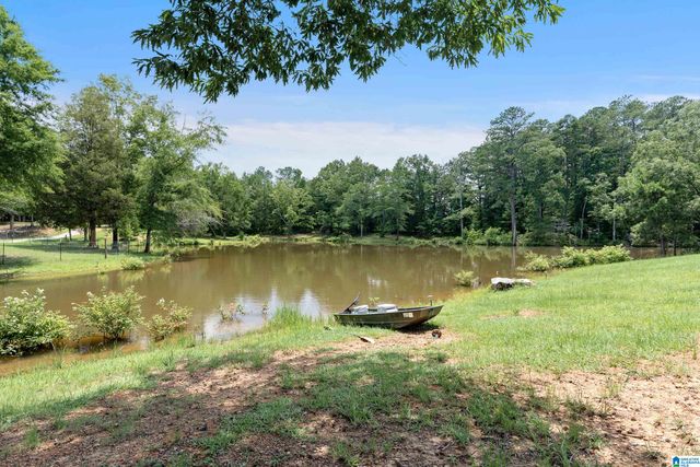 340 LAKE COTTAGE ROAD, Sterrett, AL 35147