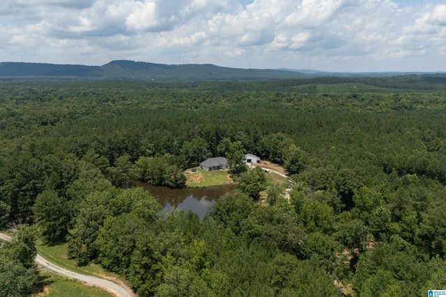 340 LAKE COTTAGE ROAD, Sterrett, AL 35147