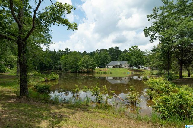 340 LAKE COTTAGE ROAD, Sterrett, AL 35147