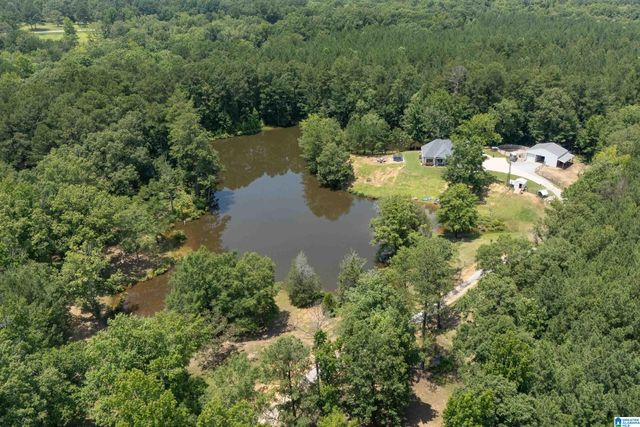 340 LAKE COTTAGE ROAD, Sterrett, AL 35147