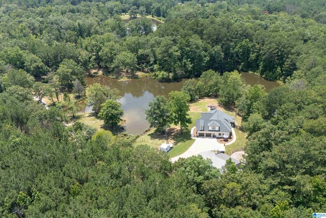 340 LAKE COTTAGE ROAD, Sterrett, AL 35147
