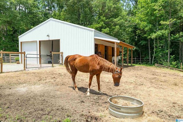 340 LAKE COTTAGE ROAD, Sterrett, AL 35147