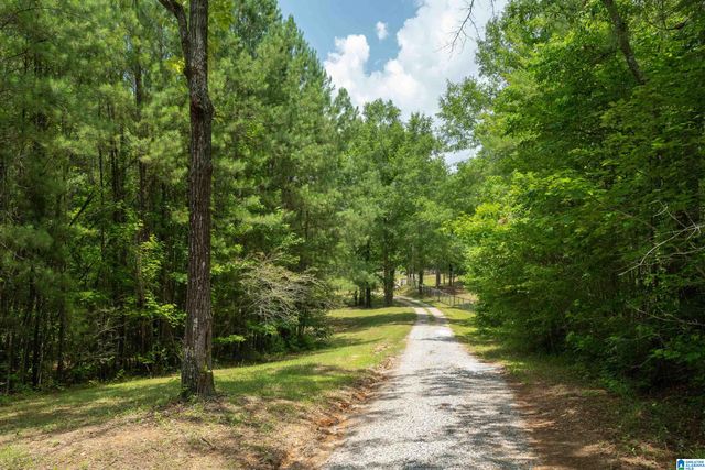 340 LAKE COTTAGE ROAD, Sterrett, AL 35147