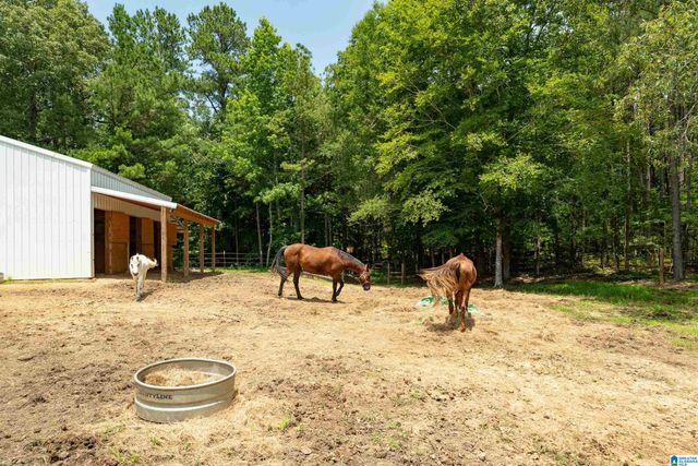 340 LAKE COTTAGE ROAD, Sterrett, AL 35147