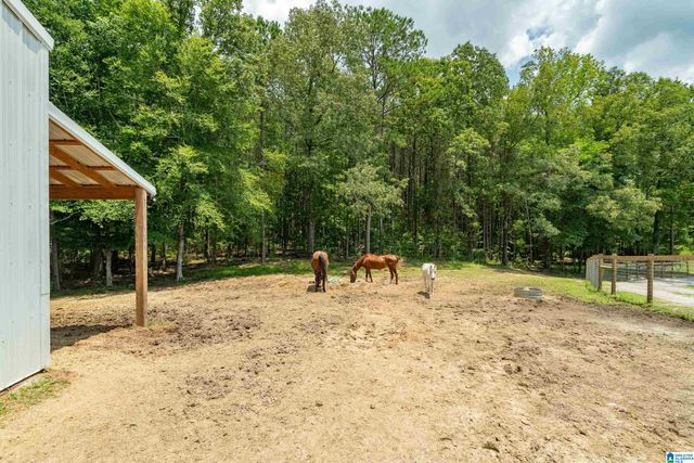 340 LAKE COTTAGE ROAD, Sterrett, AL 35147