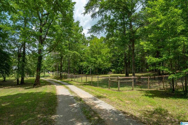 340 LAKE COTTAGE ROAD, Sterrett, AL 35147