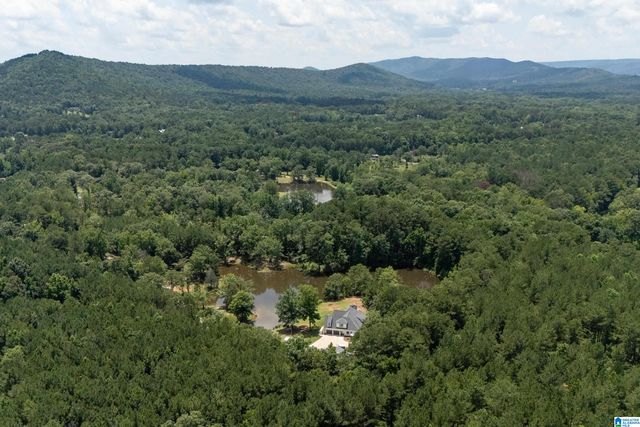 340 LAKE COTTAGE ROAD, Sterrett, AL 35147