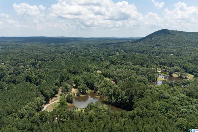 340 LAKE COTTAGE ROAD, Sterrett, AL 35147