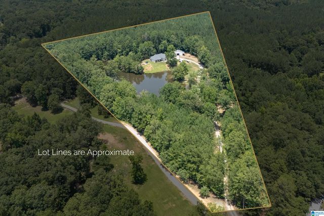 340 LAKE COTTAGE ROAD, Sterrett, AL 35147