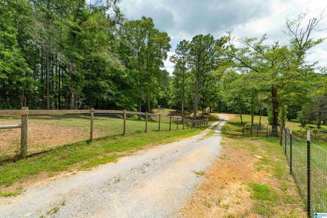 340 LAKE COTTAGE ROAD, Sterrett, AL 35147