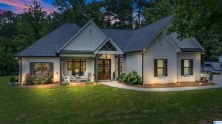 340 LAKE COTTAGE ROAD, Sterrett, AL 35147
