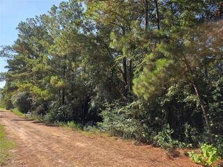 0 Tawnyberry Lane, Plantersville, TX 77363