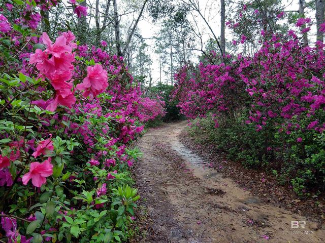 32771 Antietam Road, Lillian, AL 36549