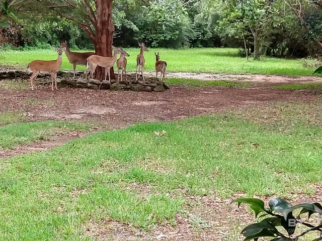 32771 Antietam Road, Lillian, AL 36549