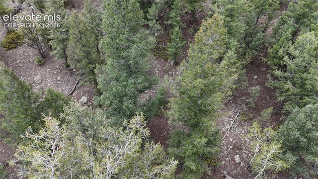 4943 County Road 11, Florissant, CO 80816