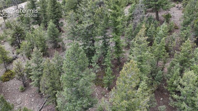 4943 County Road 11, Florissant, CO 80816