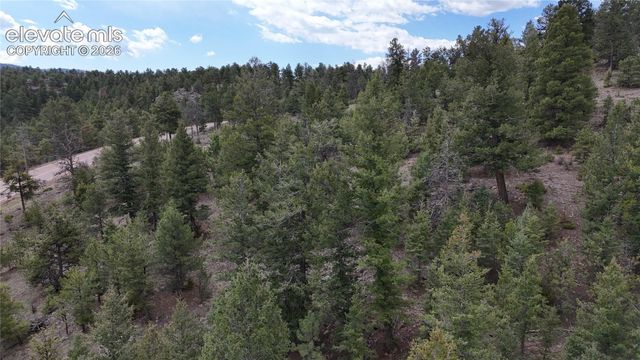 4943 County Road 11, Florissant, CO 80816