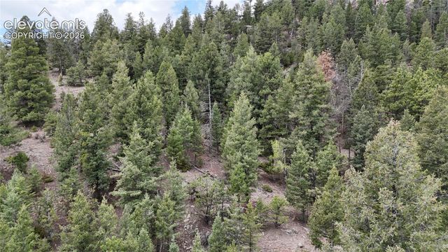4943 County Road 11, Florissant, CO 80816