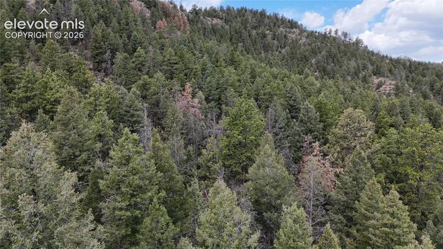 4943 County Road 11, Florissant, CO 80816