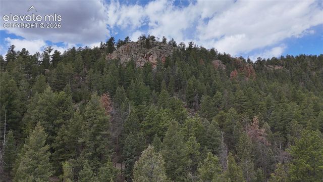 4943 County Road 11, Florissant, CO 80816