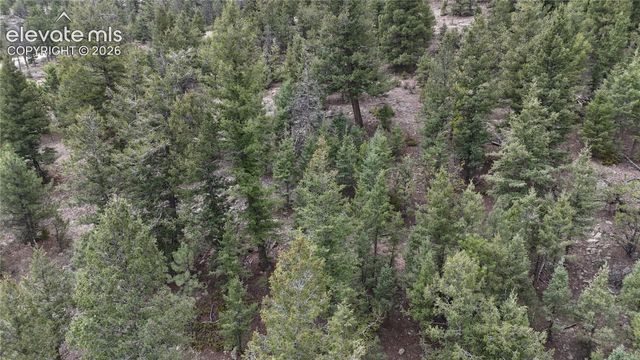 4943 County Road 11, Florissant, CO 80816