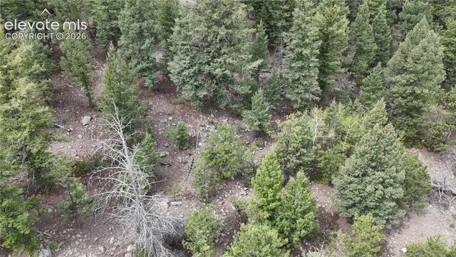 4943 County Road 11, Florissant, CO 80816