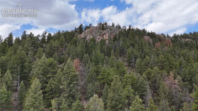 4943 County Road 11, Florissant, CO 80816