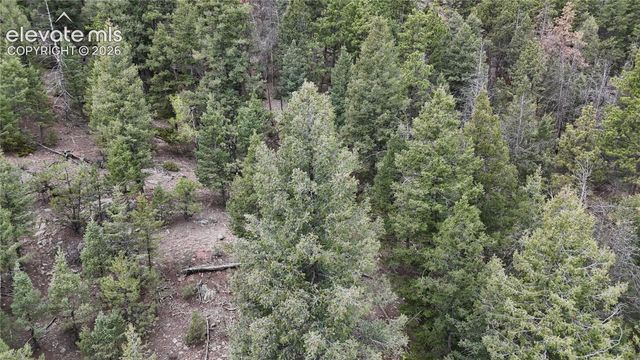 4943 County Road 11, Florissant, CO 80816
