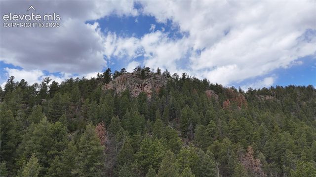 4943 County Road 11, Florissant, CO 80816