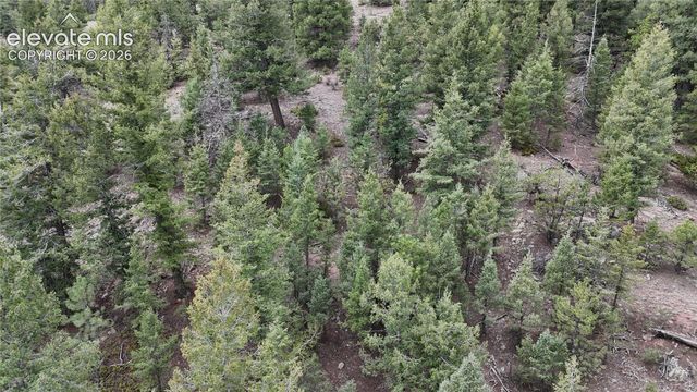 4943 County Road 11, Florissant, CO 80816