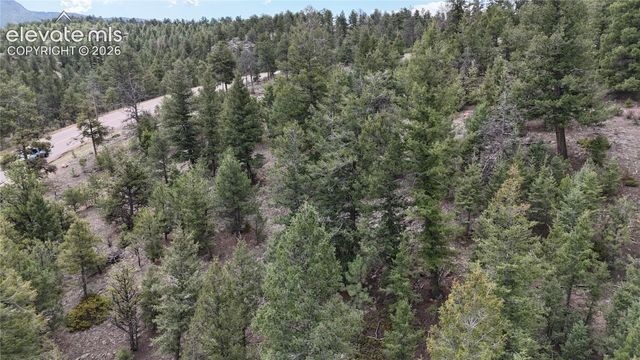 4943 County Road 11, Florissant, CO 80816