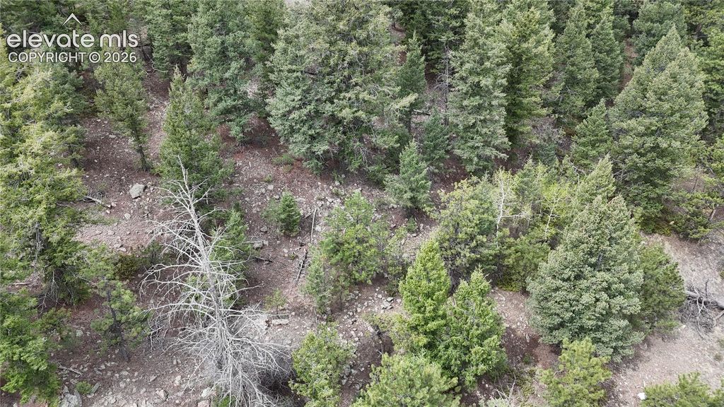 4943 County Road 11, Florissant, CO 80816 — photo 4