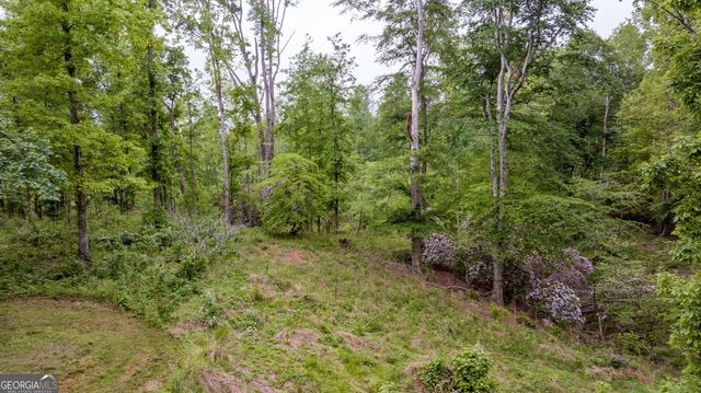527 Louden Ridge Road, Alto, GA 30510