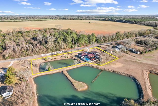 314 Alpha Street, Midland City, AL 36350