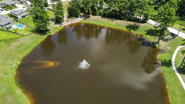 97 Courageous Side Way, Magnolia, TX 77354