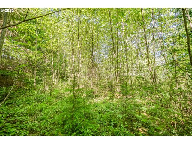 210 SCENIC Ln, Mossyrock, WA 98564