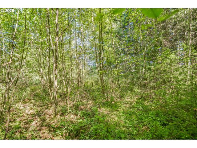 210 SCENIC Ln, Mossyrock, WA 98564