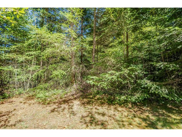 210 SCENIC Ln, Mossyrock, WA 98564