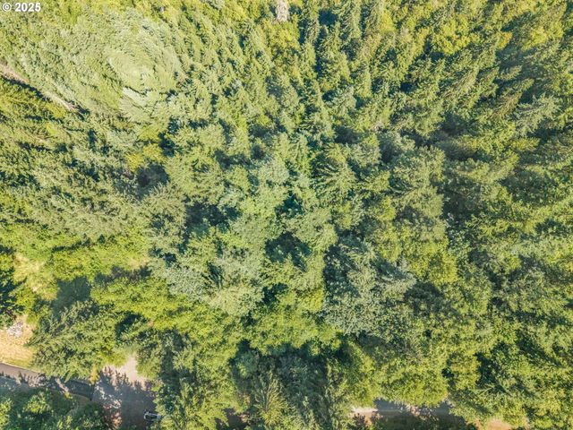 210 SCENIC Ln, Mossyrock, WA 98564