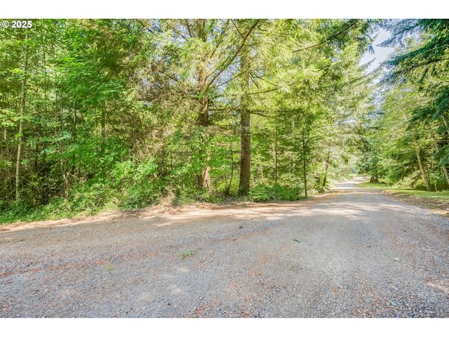 210 SCENIC Ln, Mossyrock, WA 98564