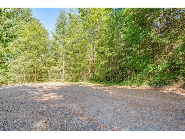 210 SCENIC Ln, Mossyrock, WA 98564