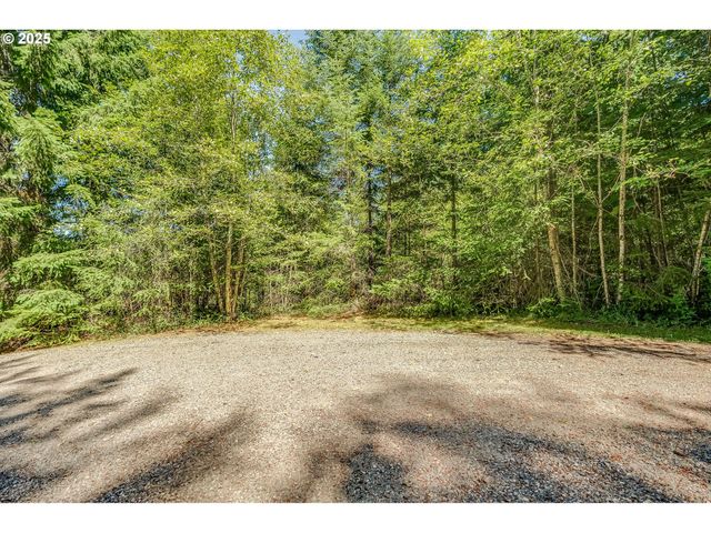 210 SCENIC Ln, Mossyrock, WA 98564