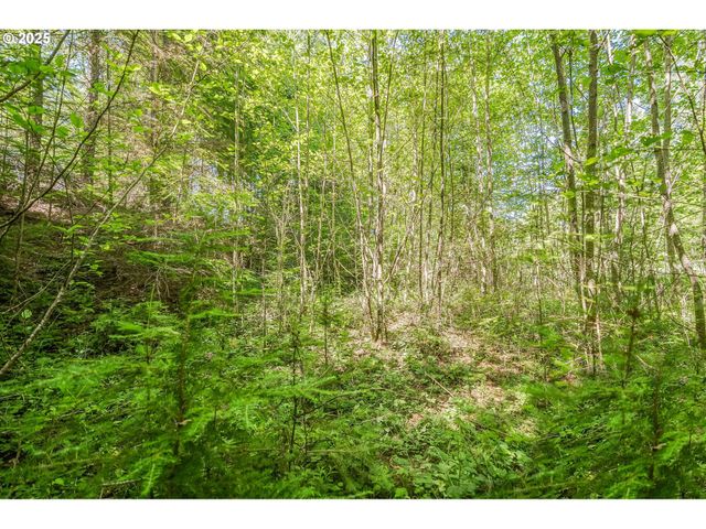 210 SCENIC Ln, Mossyrock, WA 98564